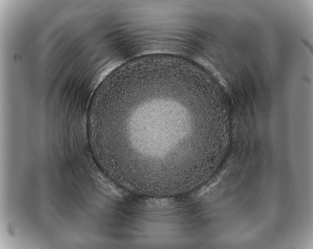 X0000091171121200708161454