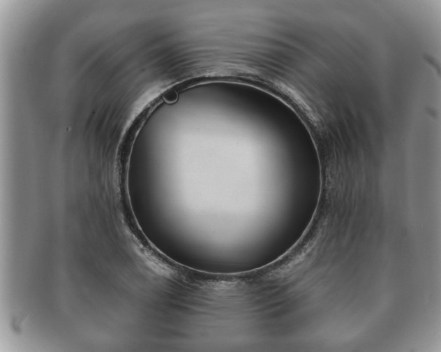 X0000091171122200708161454