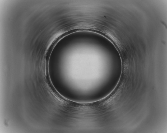 X0000091171123200708161454