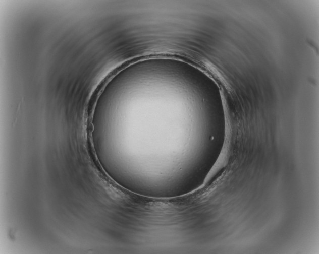 X0000091171124200708161454