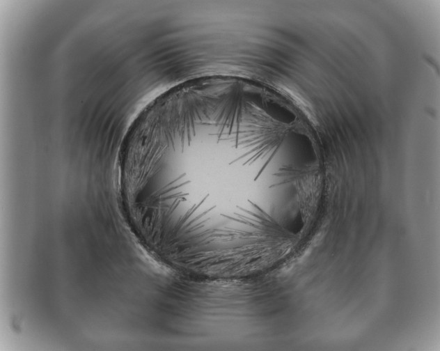 X0000091171125200708161454