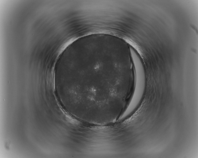 X0000091171127200708161454