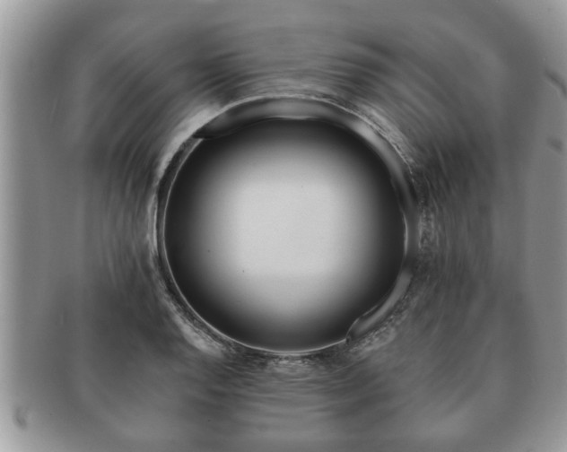 X0000091171128200708161454