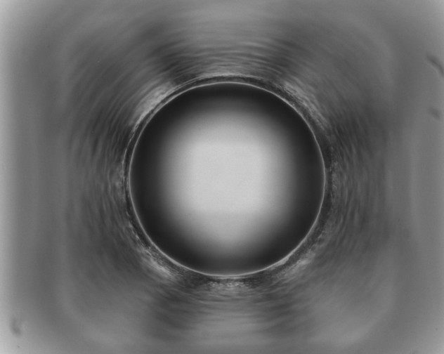 X0000091171129200708161454