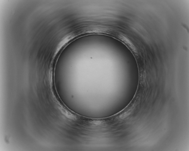 X0000091171130200708161454