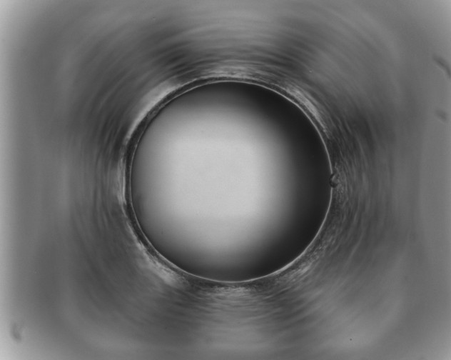 X0000091171131200708161454