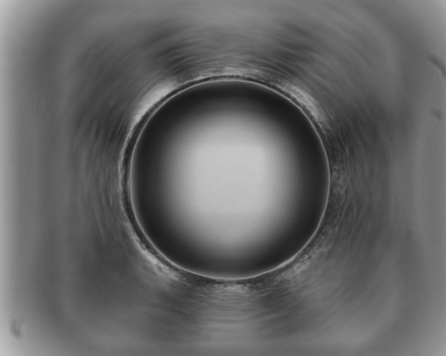 X0000091171135200708161454