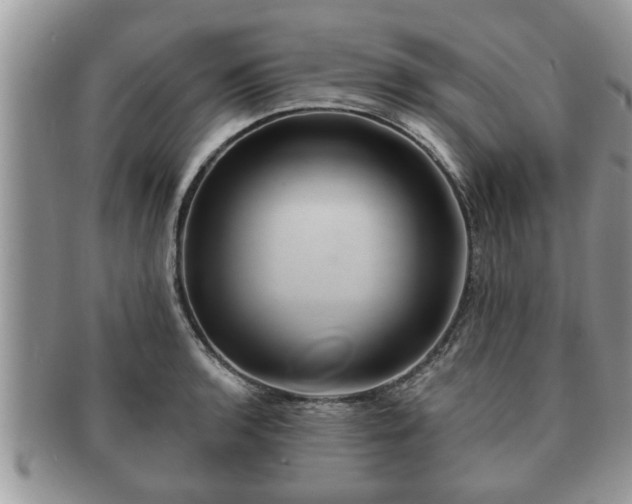 X0000091171136200708161454