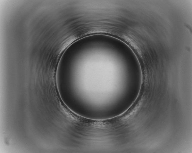 X0000091171137200708161454