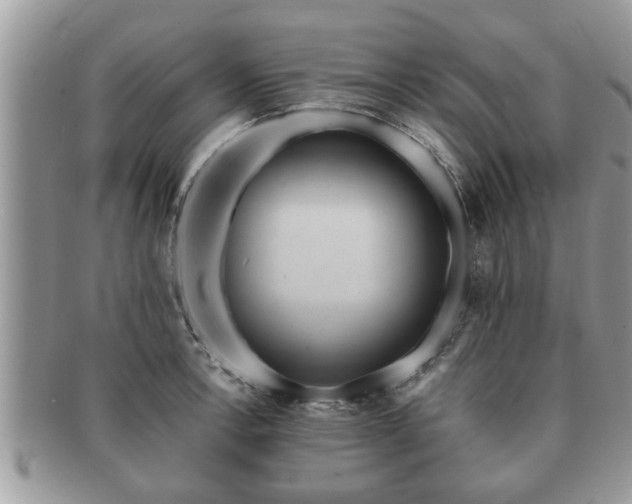 X0000091171138200708161454