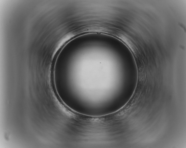 X0000091171139200708161454