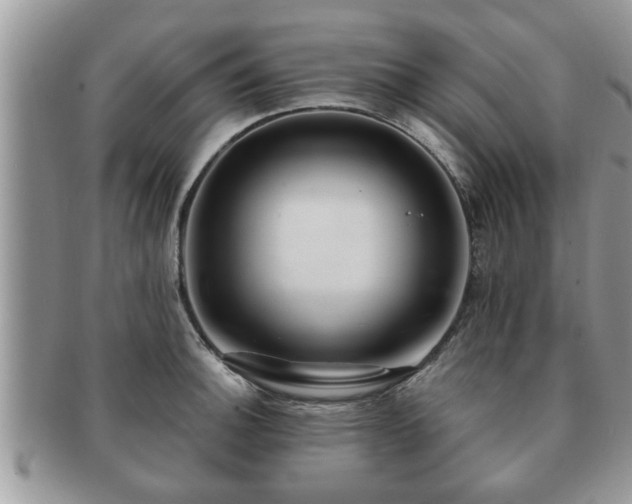 X0000091171140200708161454