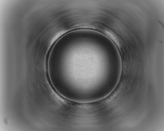 X0000091171141200708161454