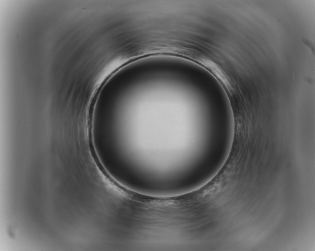 X0000091171143200708161454