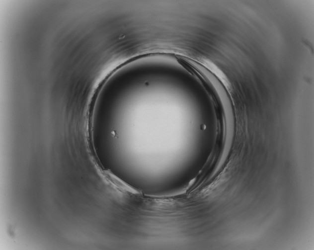 X0000091171144200708161454