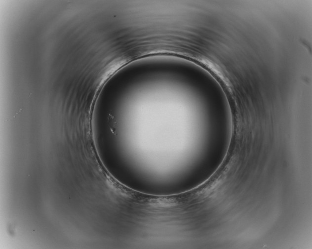 X0000091171145200708161454