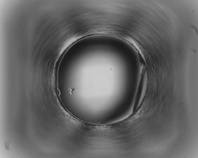 X0000091171147200708161454