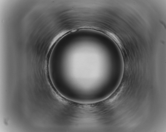 X0000091171149200708161454