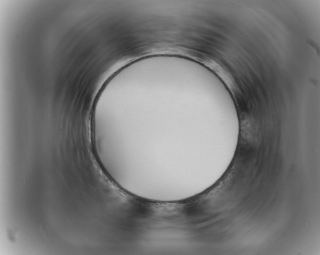 X0000091171150200708161454