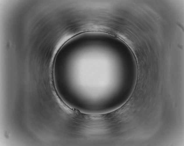 X0000091171152200708161454