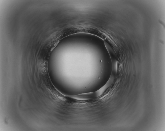 X0000091171156200708161453