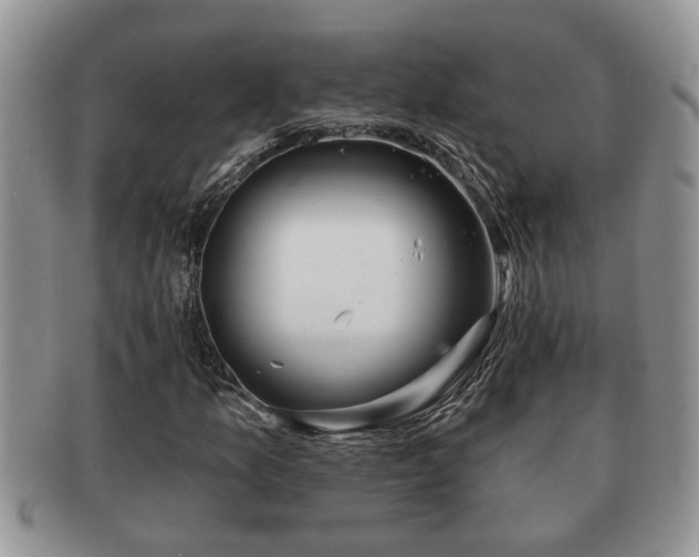 X0000091171157200708161453