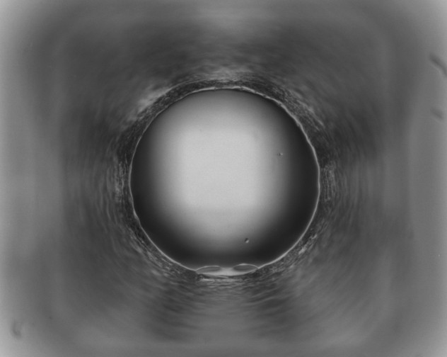 X0000091171158200708161453