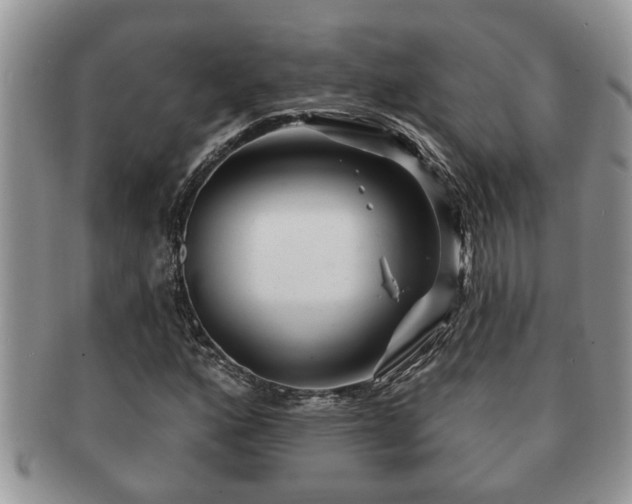 X0000091171160200708161453