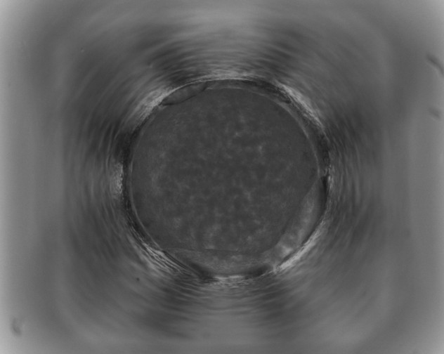 X0000091171161200708161453