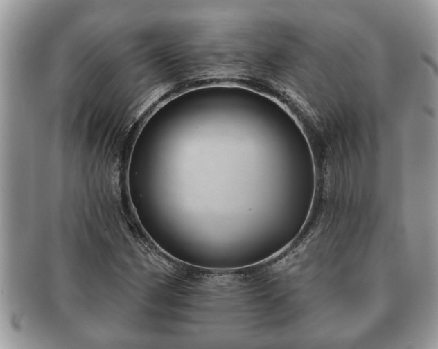 X0000091171162200708161453