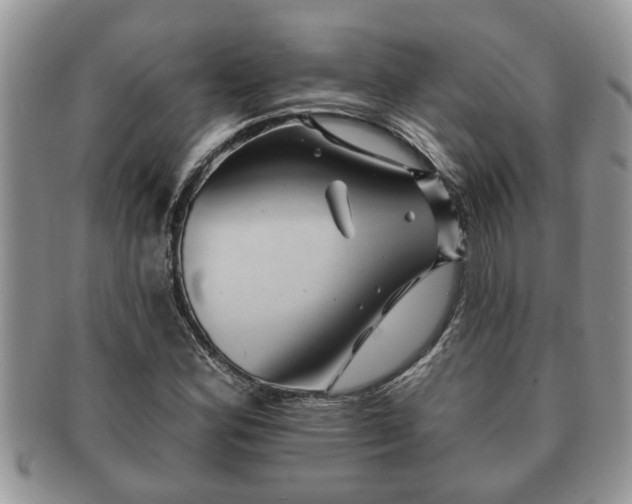 X0000091171164200708161453