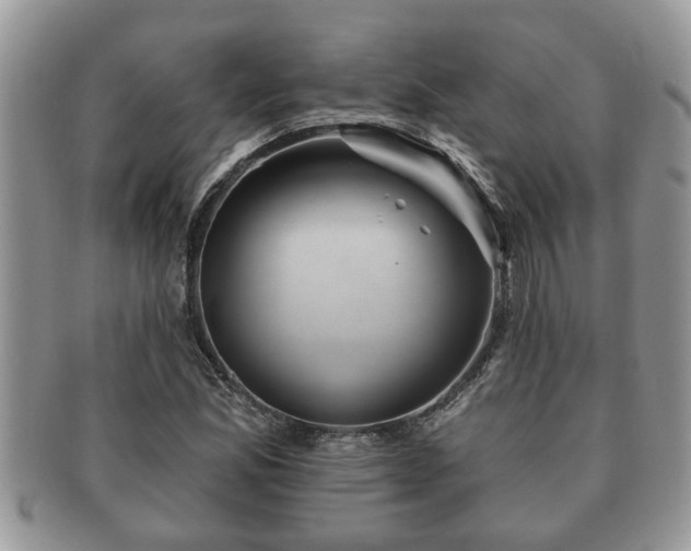 X0000091171165200708161453