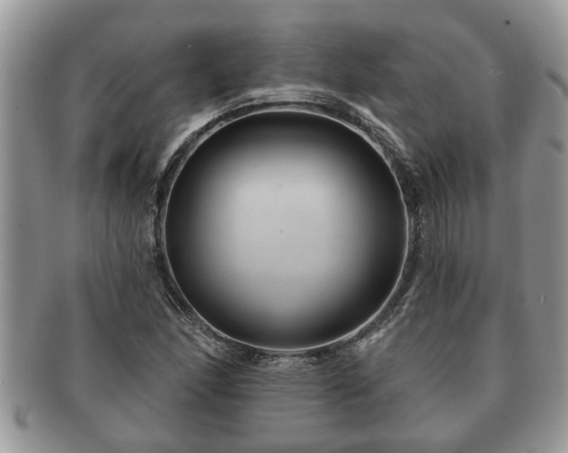 X0000091171166200708161453