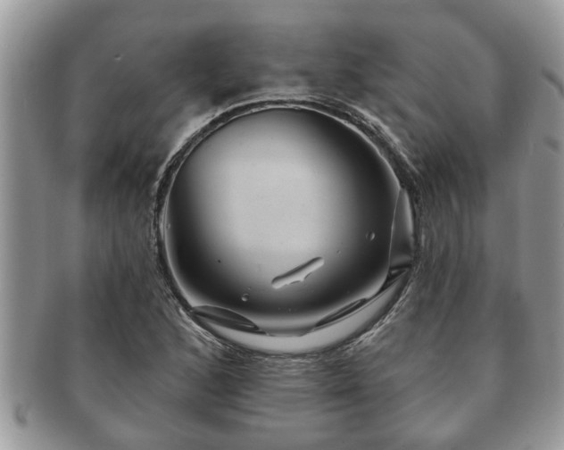 X0000091171168200708161453