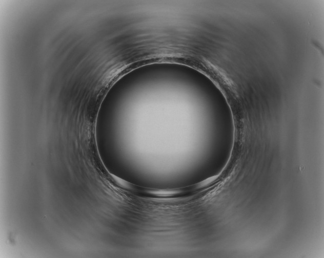 X0000091171169200708161453