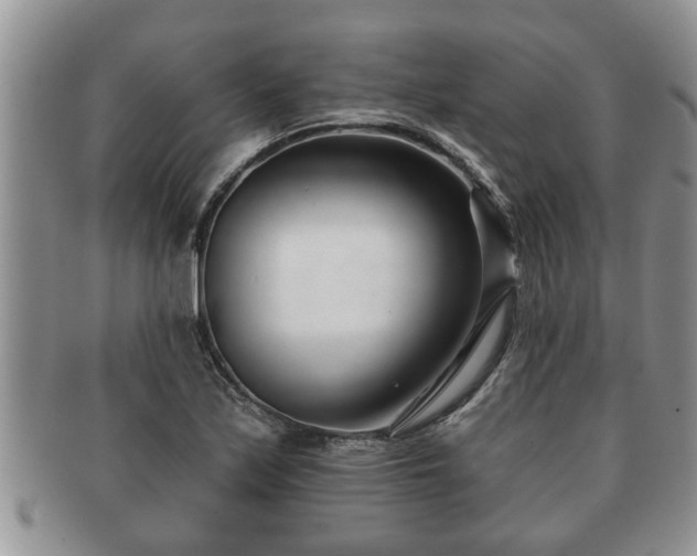 X0000091171171200708161453