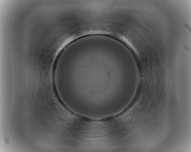 X0000091171173200708161453