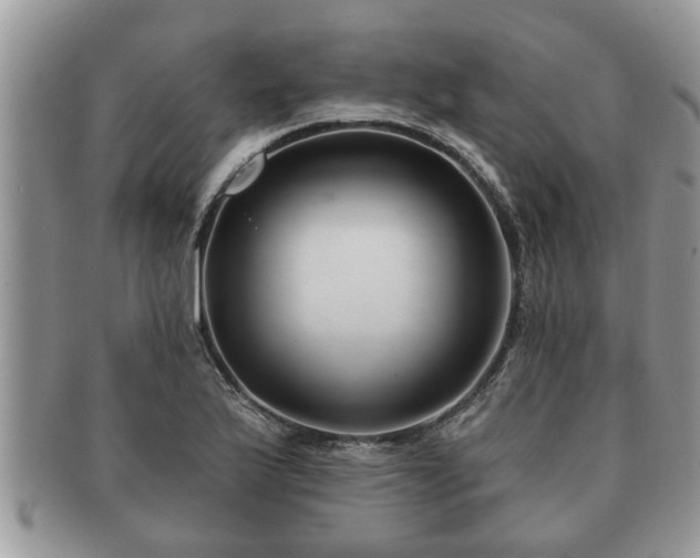 X0000091171175200708161453