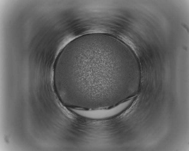 X0000091171179200708161453