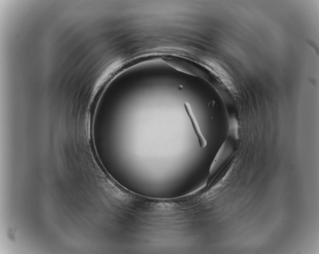 X0000091171180200708161453