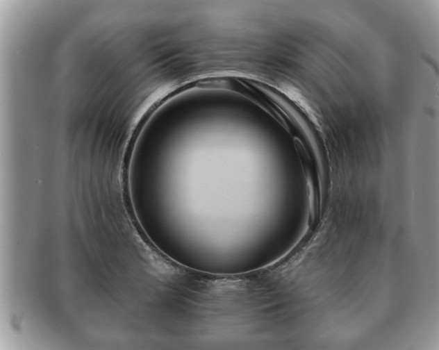 X0000091171181200708161453