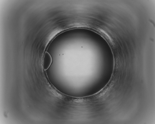 X0000091171182200708161453