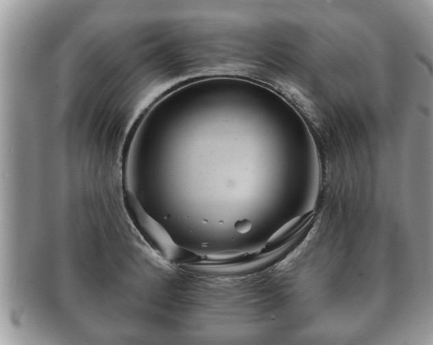 X0000091171184200708161453