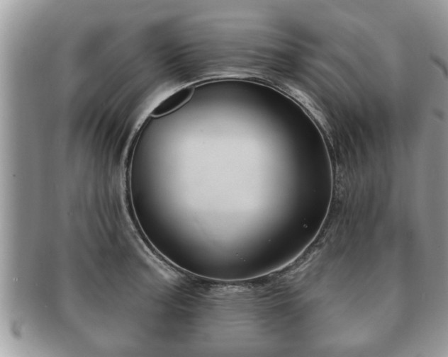 X0000091171187200708161453