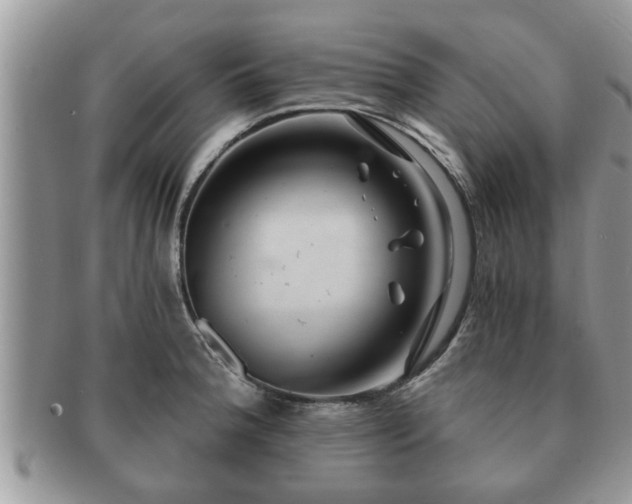 X0000091171188200708161453