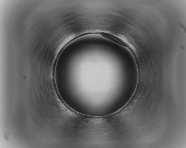 X0000091171189200708161453