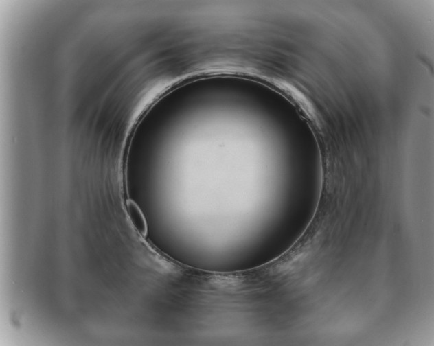 X0000091171191200708161453