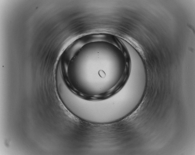 X0000091171192200708161453