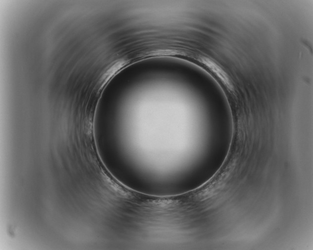 X0000091171193200708161453