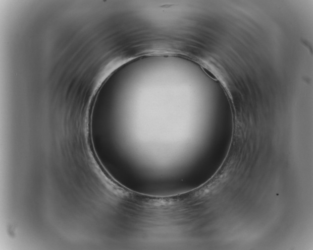 X0000091171195200708161453